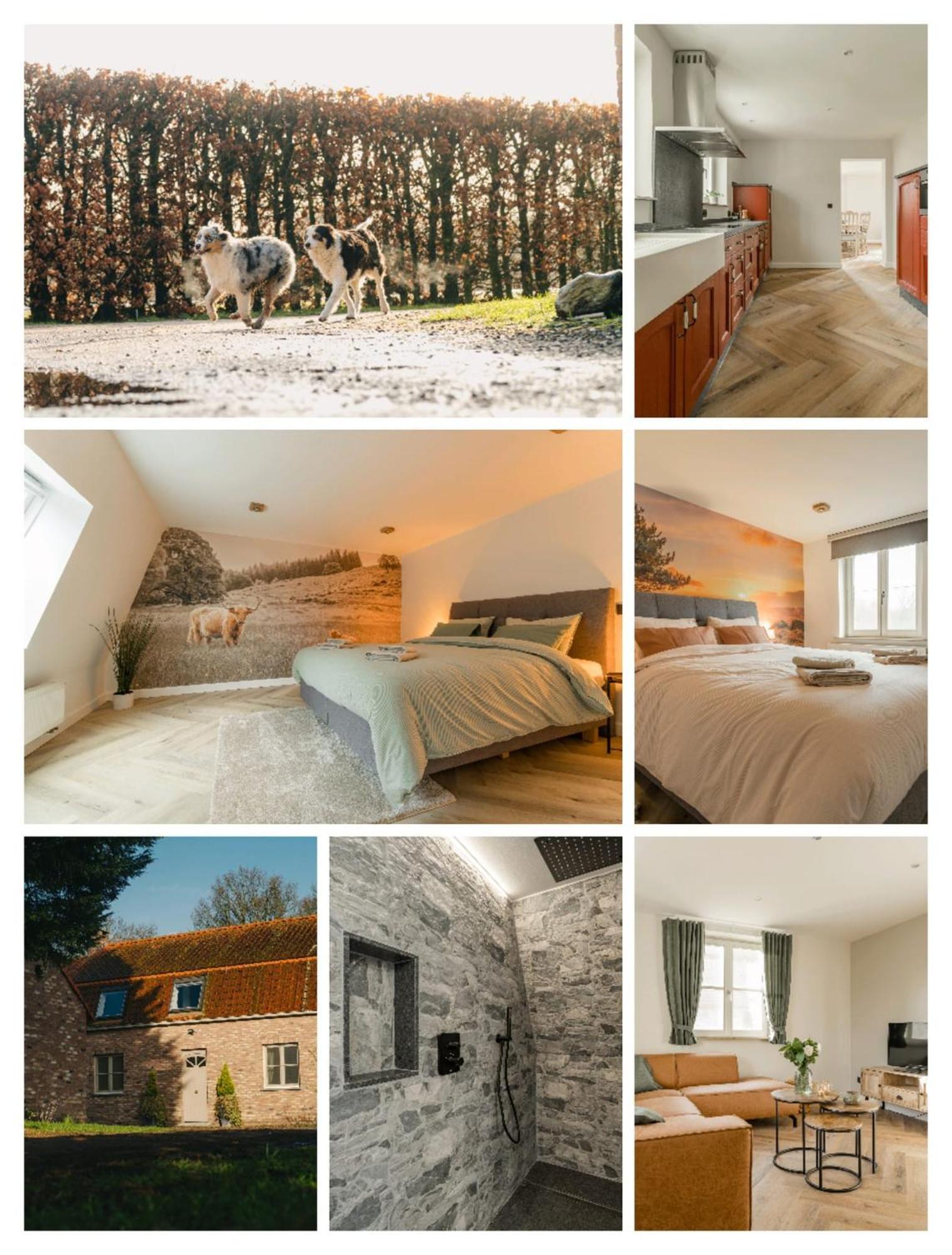 De Dommelhoeve Holiday home
