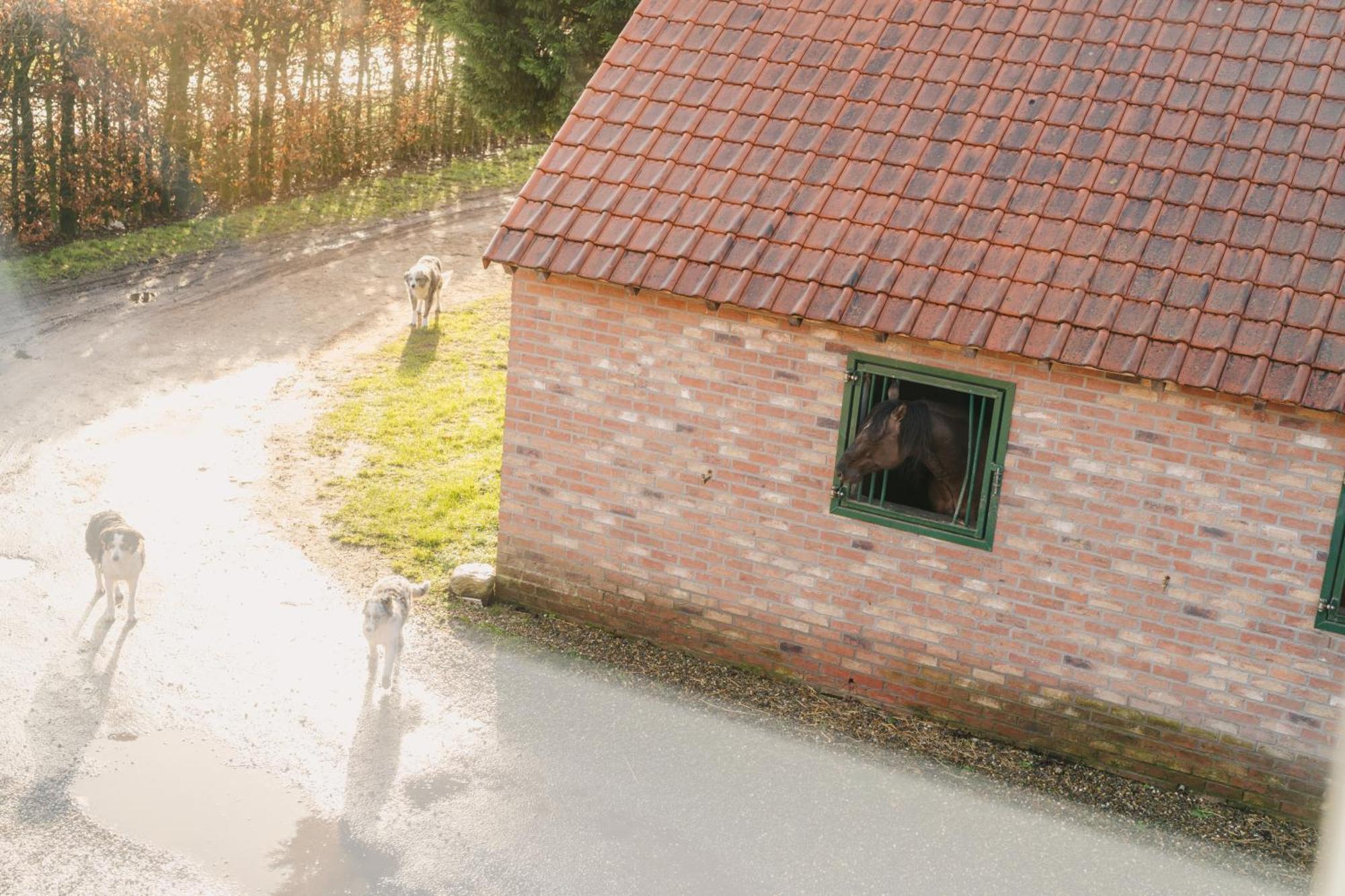 Ferienhaus De Dommelhoeve